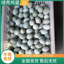 绿壳鸡蛋限时抢购质优价廉精选品质精品鸡蛋