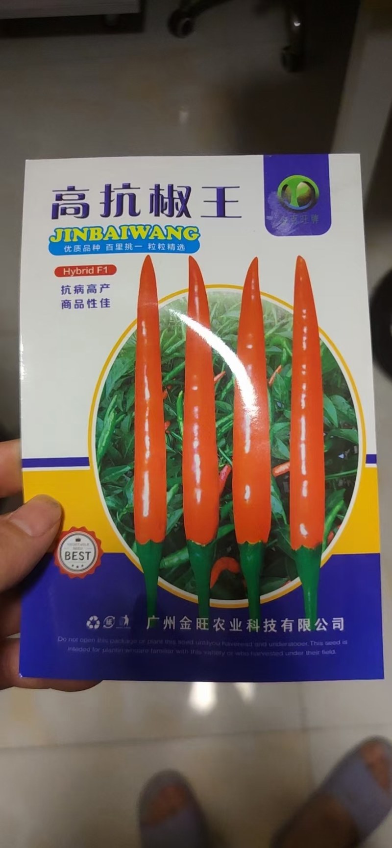 广西育苗种苗基地代育加工朝天椒苗品质保证价格优惠常年供应