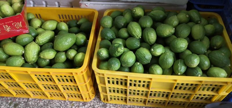广东香水柠檬爆香型饮品店专用果产地直发批发一件代发