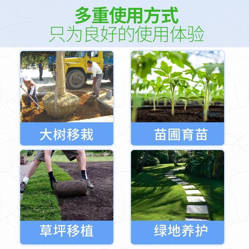 生根壮苗剂促进生根，生根快，好成活，主根健壮，侧根密集