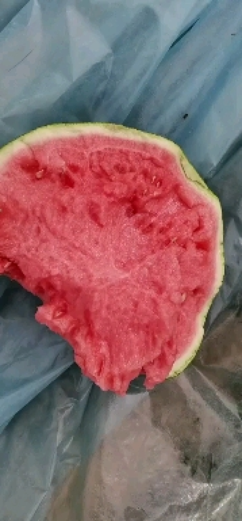 大西北产区精品美都西瓜，麒麟瓜，质量保证！产地直