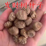 发财树种子，发财树果子，招财树种子，产地直供，量大