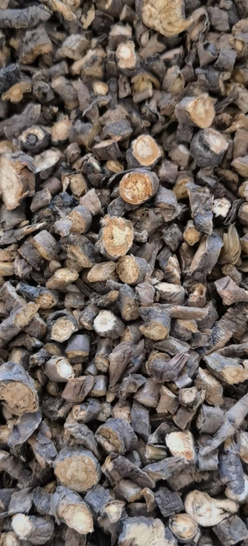 前胡内蒙货过筛批发各种规格中药
