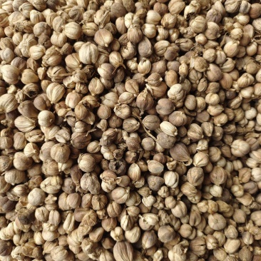 白蔻原色白蔻白扣水洗白蔻白豆蔻川菜调料另外还