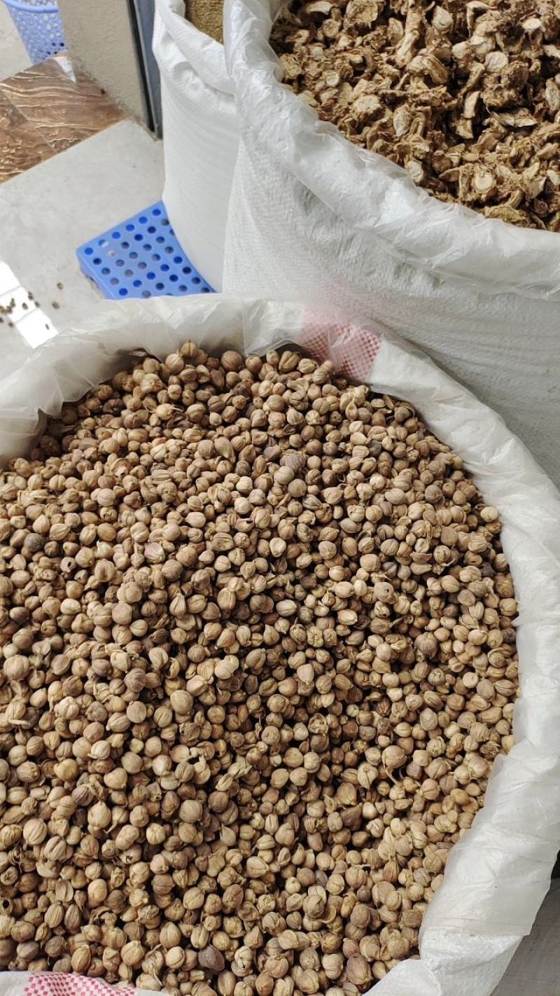 白蔻原色白蔻白扣水洗白蔻白豆蔻川菜调料另外还