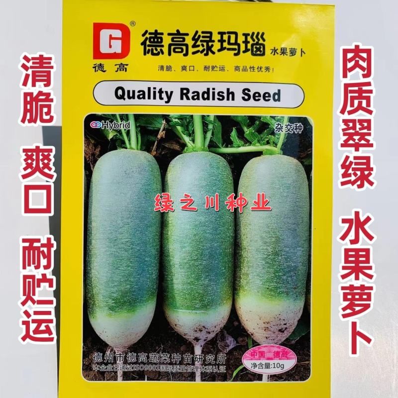 德高绿玛瑙水果萝卜种子清脆爽口，肉质翠绿基地专用青萝卜种