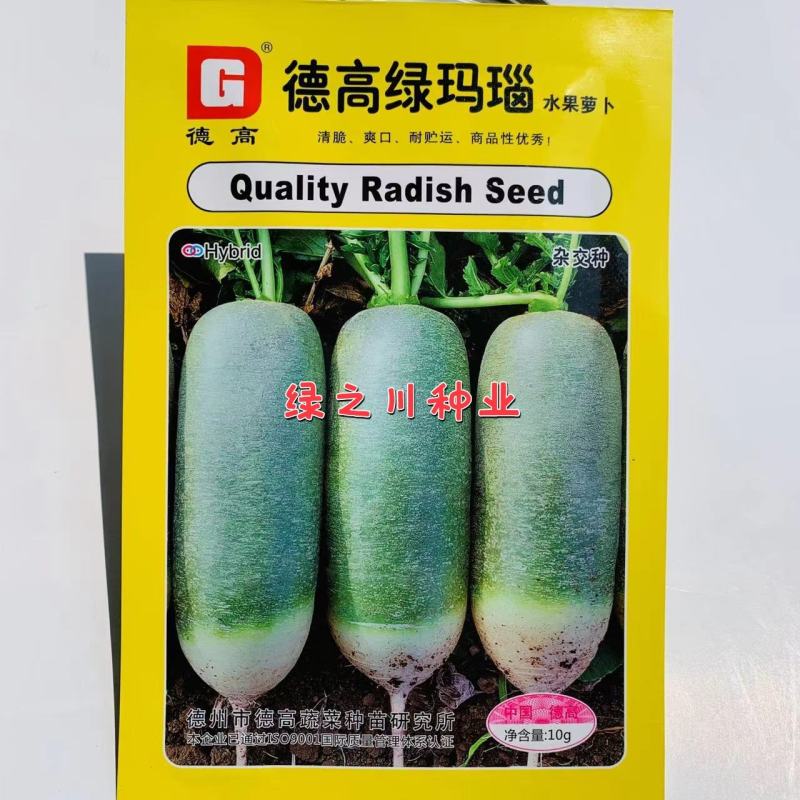 德高绿玛瑙水果萝卜种子清脆爽口，肉质翠绿基地专用青萝卜种