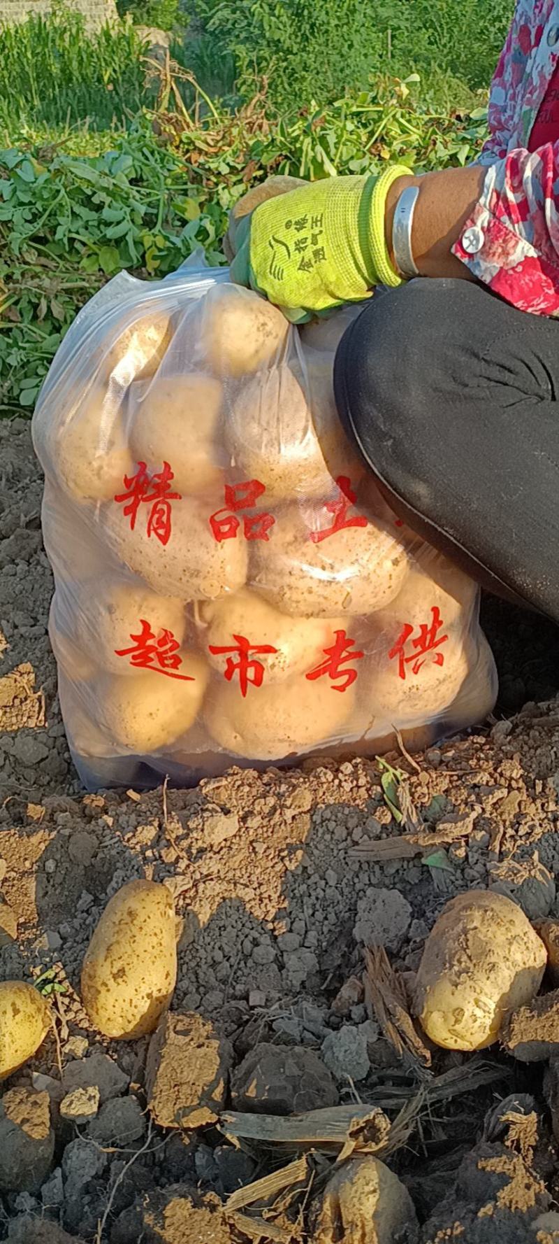 兴平农副产品代购