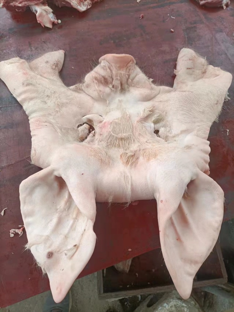 青猪头皮