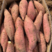 精品烟薯25烤红薯专用河北烟薯规格齐全电商微商社团