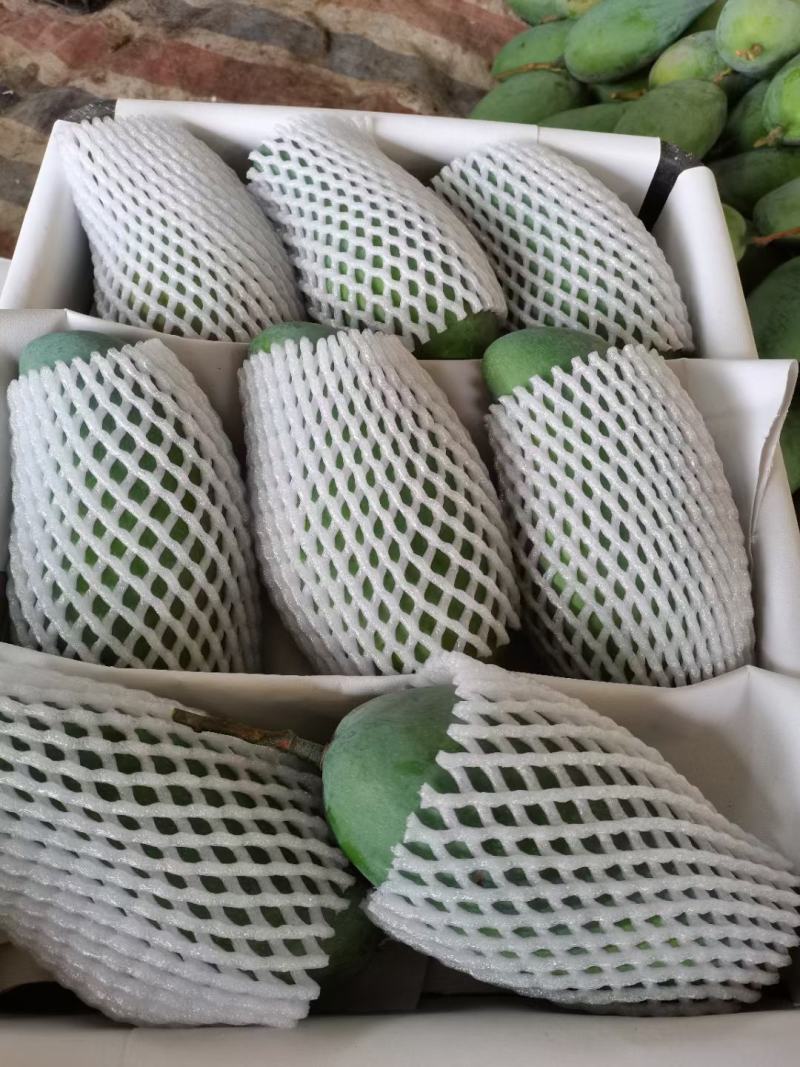 攀枝花大金煌芒果现货大青芒水仙芒新鲜水果批发当季新鲜水果