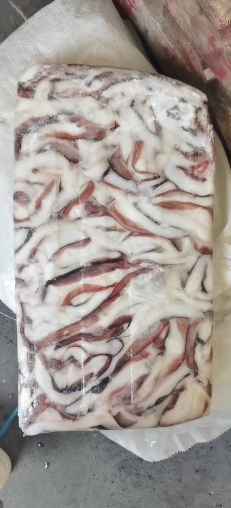 秘鲁鱿鱼口边碎肉