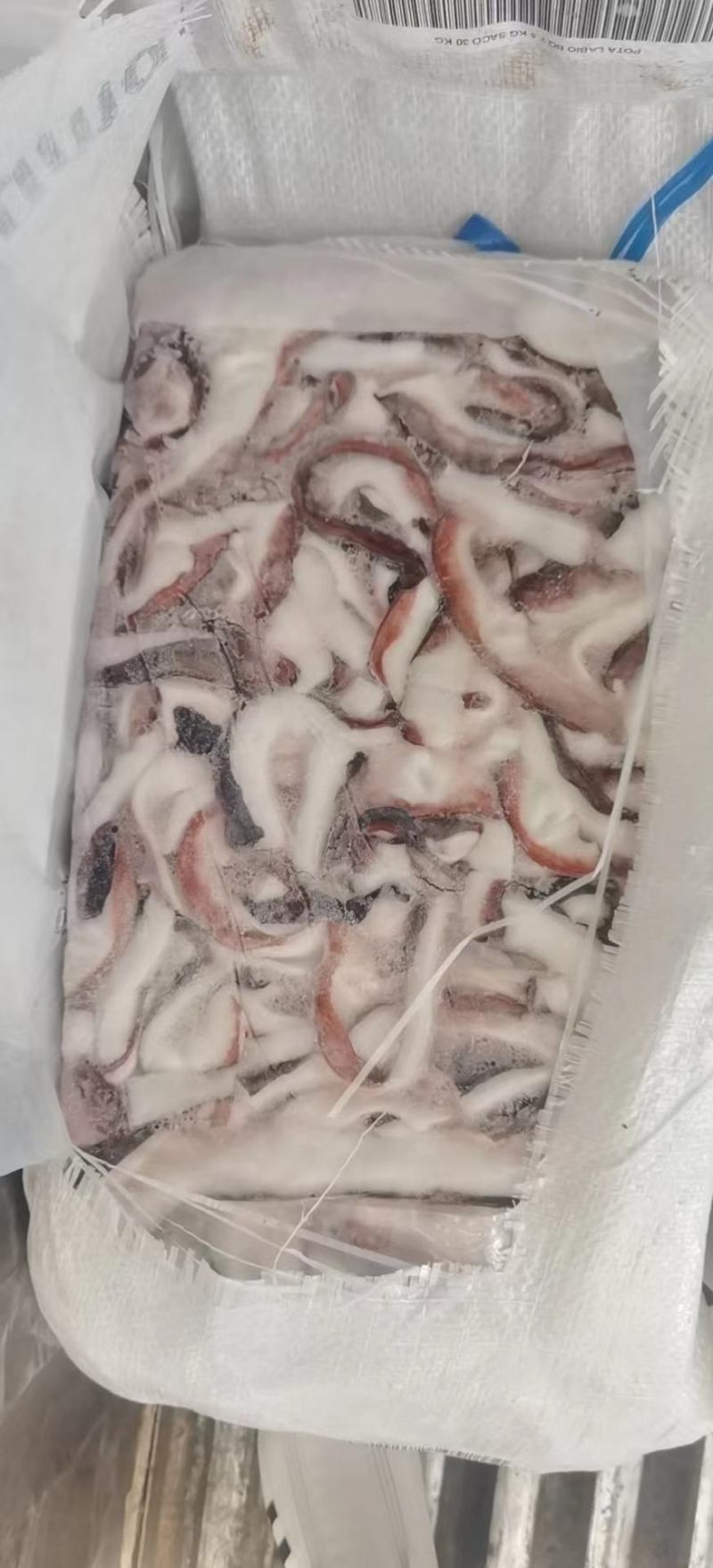 秘鲁鱿鱼口边碎肉