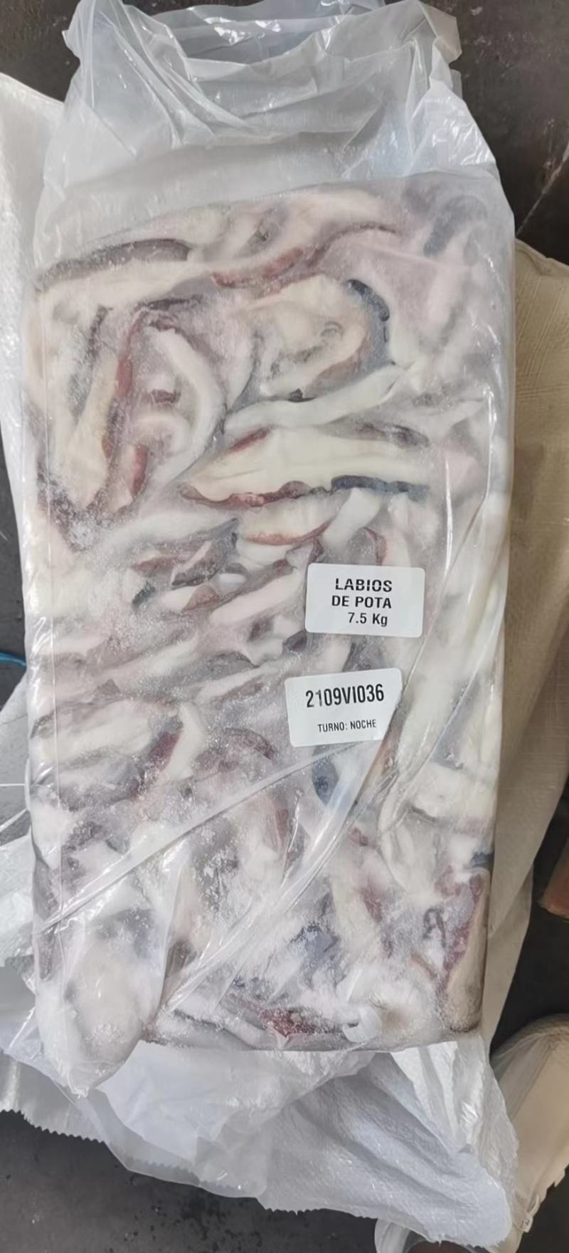 秘鲁鱿鱼口边碎肉