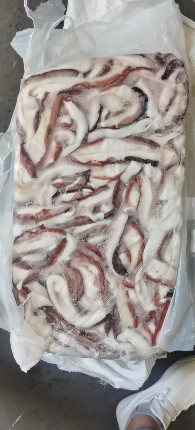 秘鲁鱿鱼口边碎肉