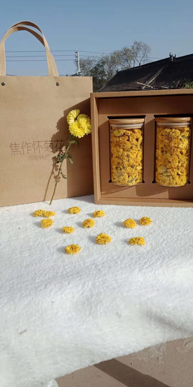 怀菊花河南焦作云台冰菊中草药材黄菊花药用菊花茶