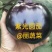 太谷紫光圆茄质量上乘产地直发供电商市场超市