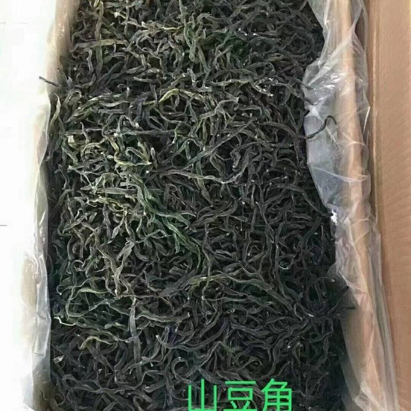 精品山豆角量大从优价格便宜欢迎选购