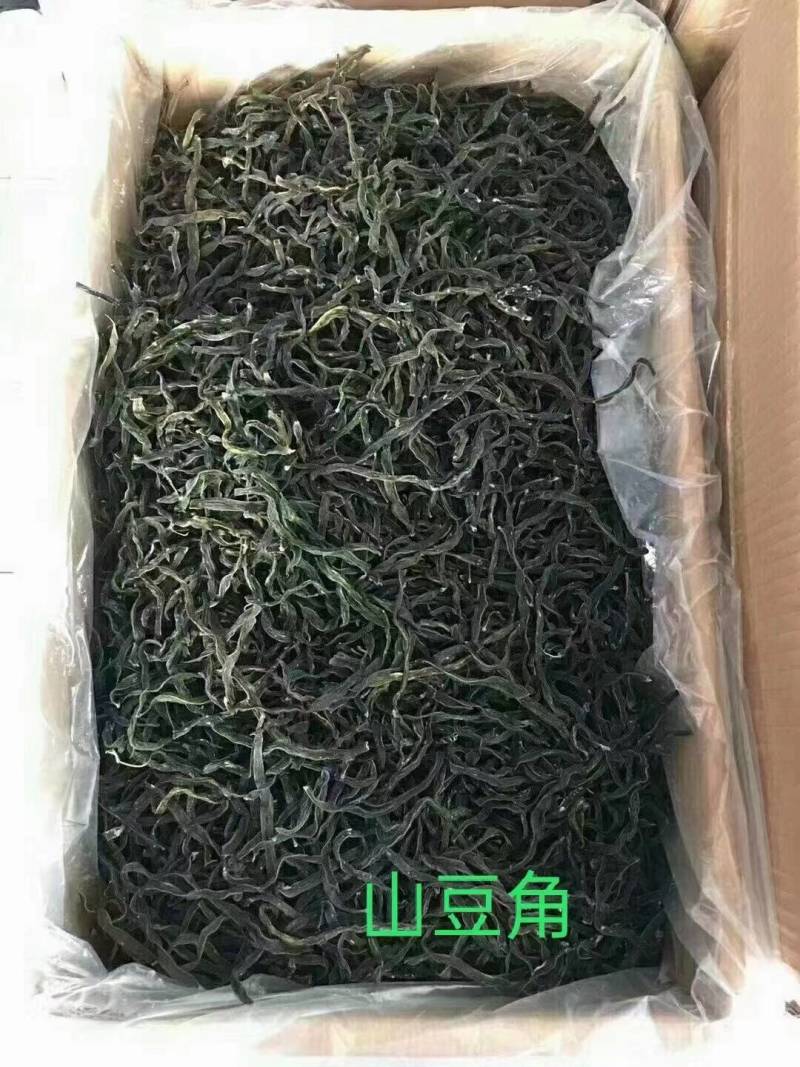 精品山豆角量大从优价格便宜欢迎选购