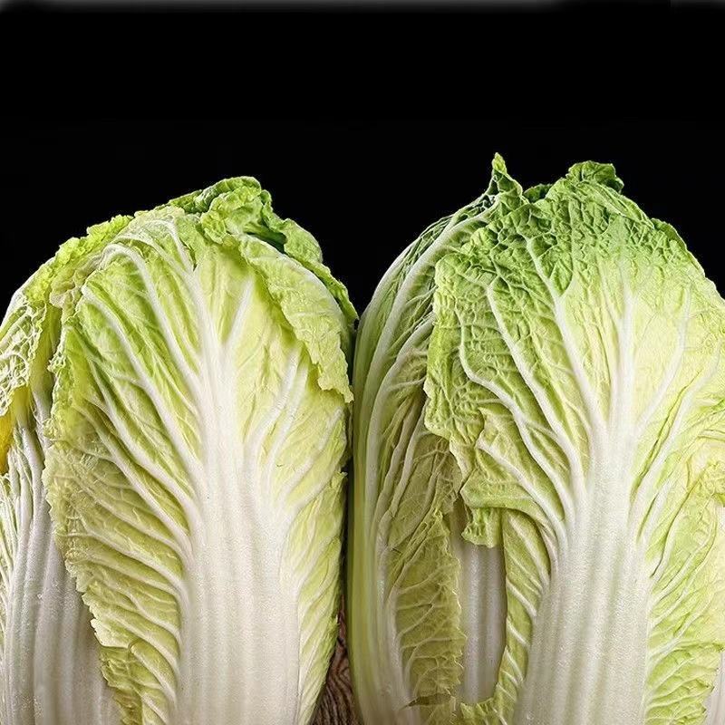 【热销】黄心大白菜产地直销货源充足可视频看货