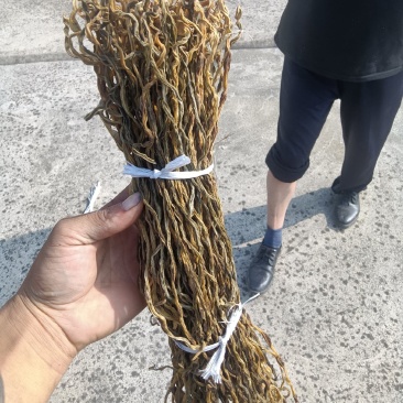 精品自然晾晒干豆角，