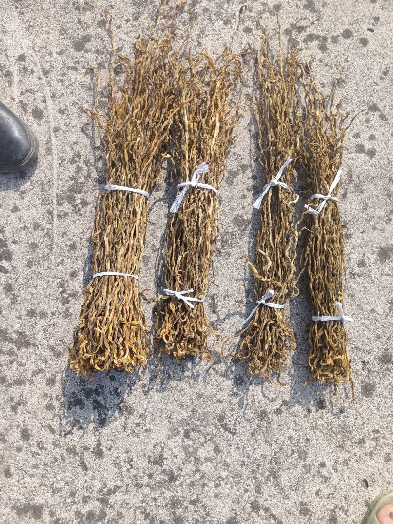精品自然晾晒干豆角，