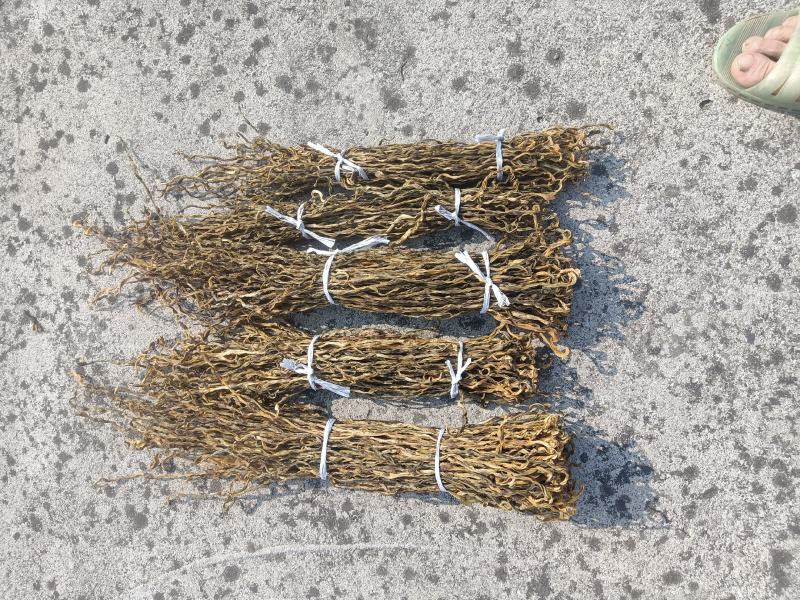 精品自然晾晒干豆角，