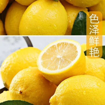 安岳黄柠檬尤力克柠批发零售一件代发，实力供货