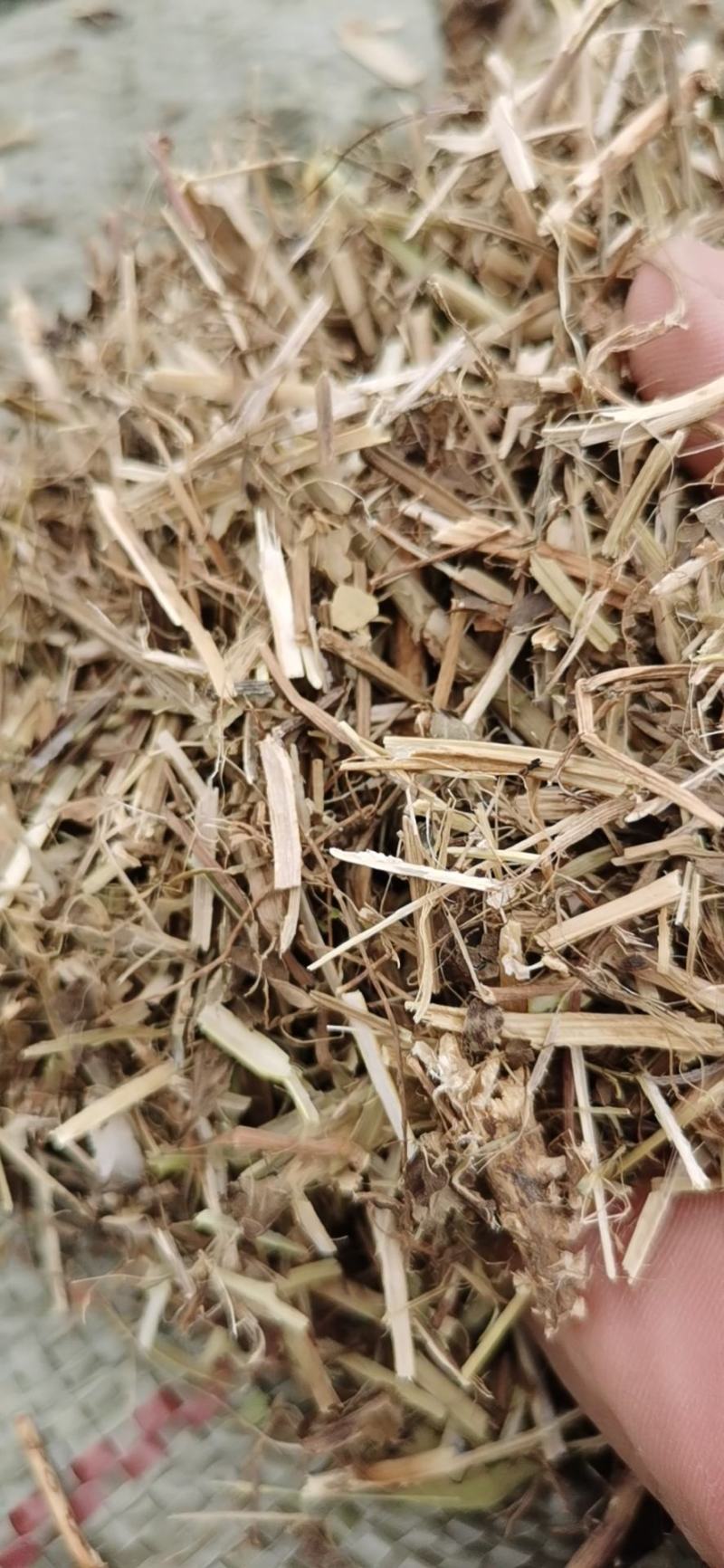 花生秧羊草
