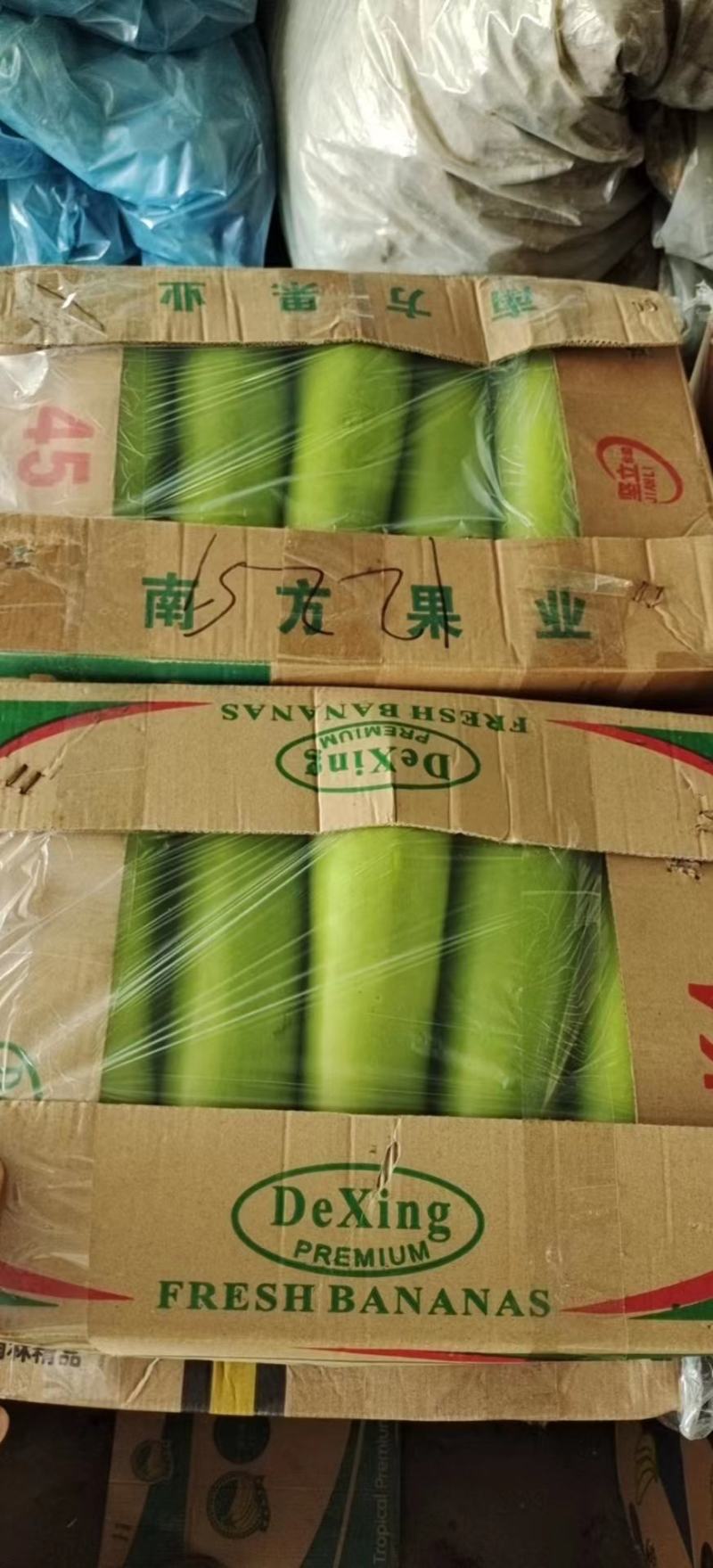瓠瓜、夜开花