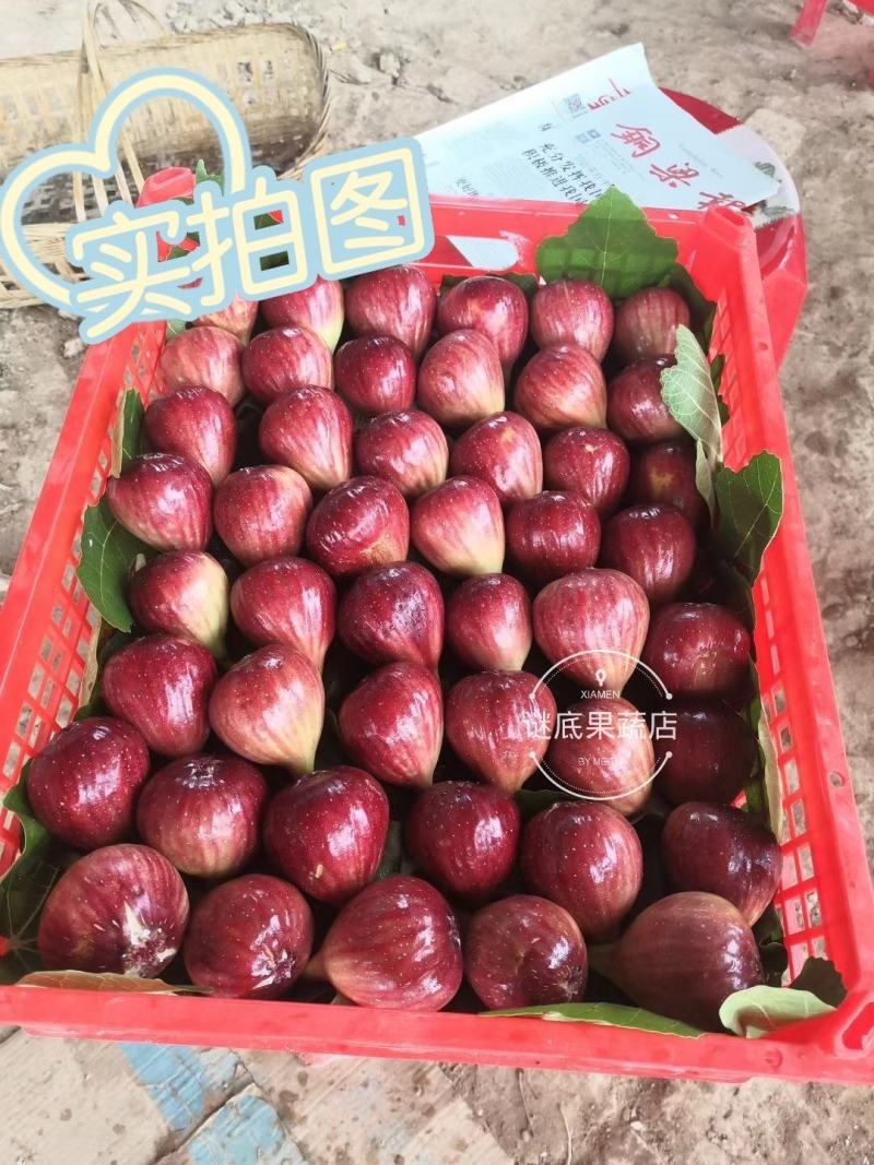 二手进口果蔬包装筐带盖缕空塑料筐草莓筐周转筐