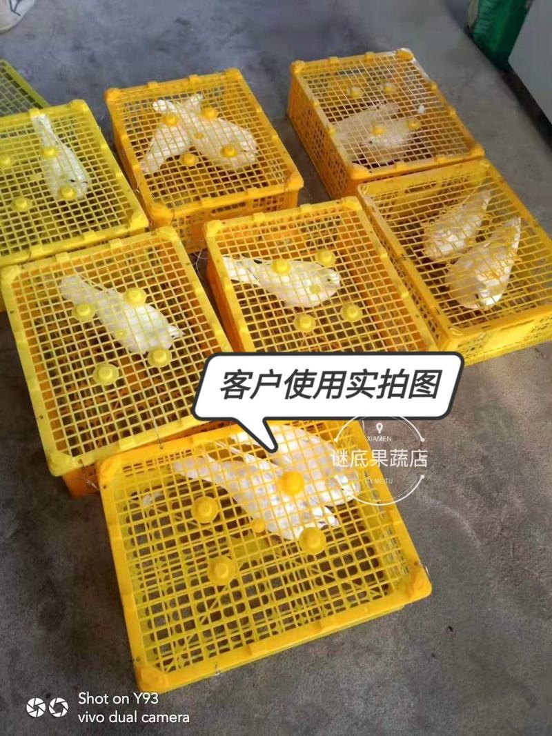 二手进口果蔬包装筐带盖缕空塑料筐草莓筐周转筐