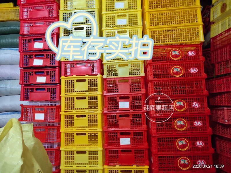 二手进口果蔬包装筐带盖缕空塑料筐草莓筐周转筐