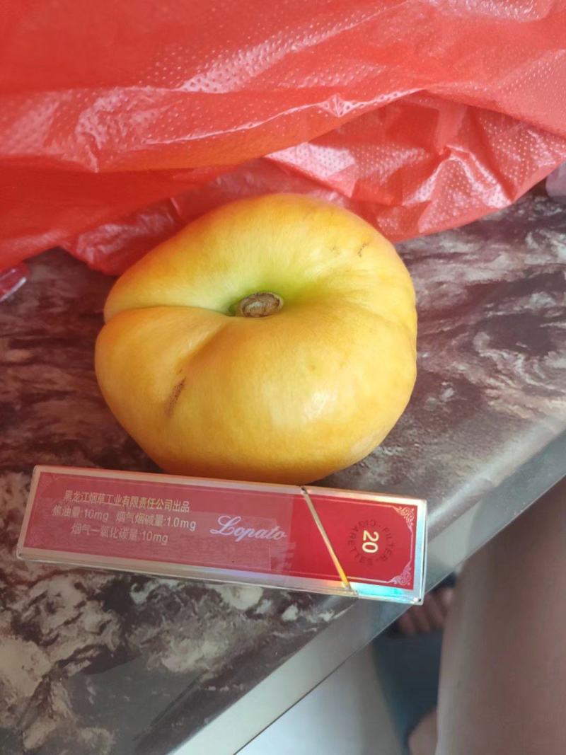 油盘7纸袋蟠桃油盘