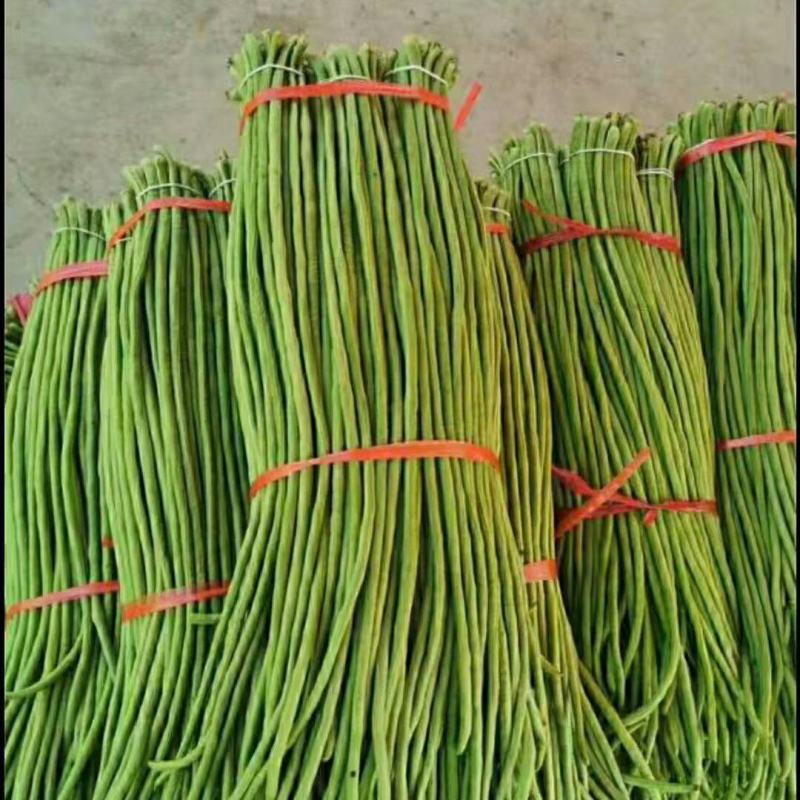 『精品』长豆角，70厘米以上可以视频看货，大量现货供应