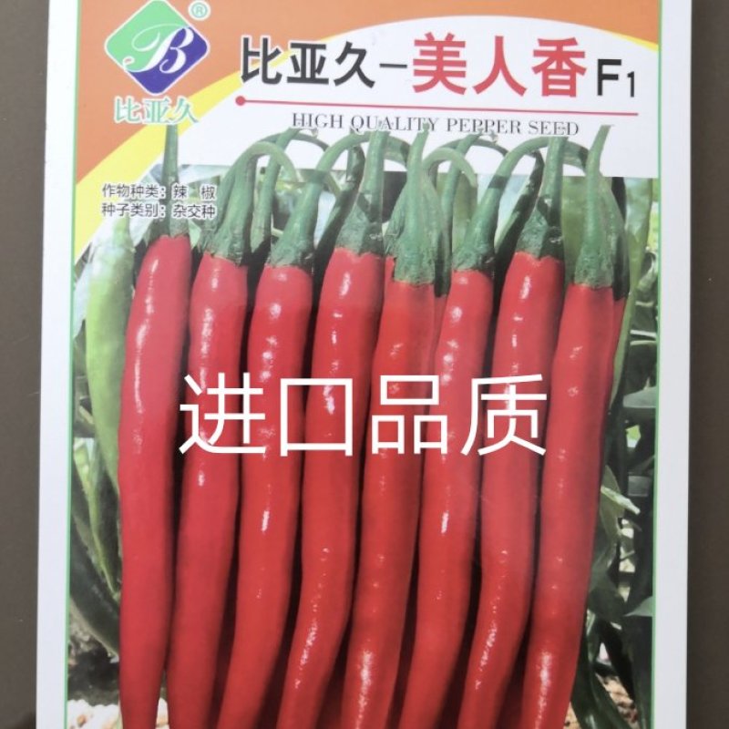 美人椒辣椒种子比亚久~美人香F1~99~耐热耐湿性强