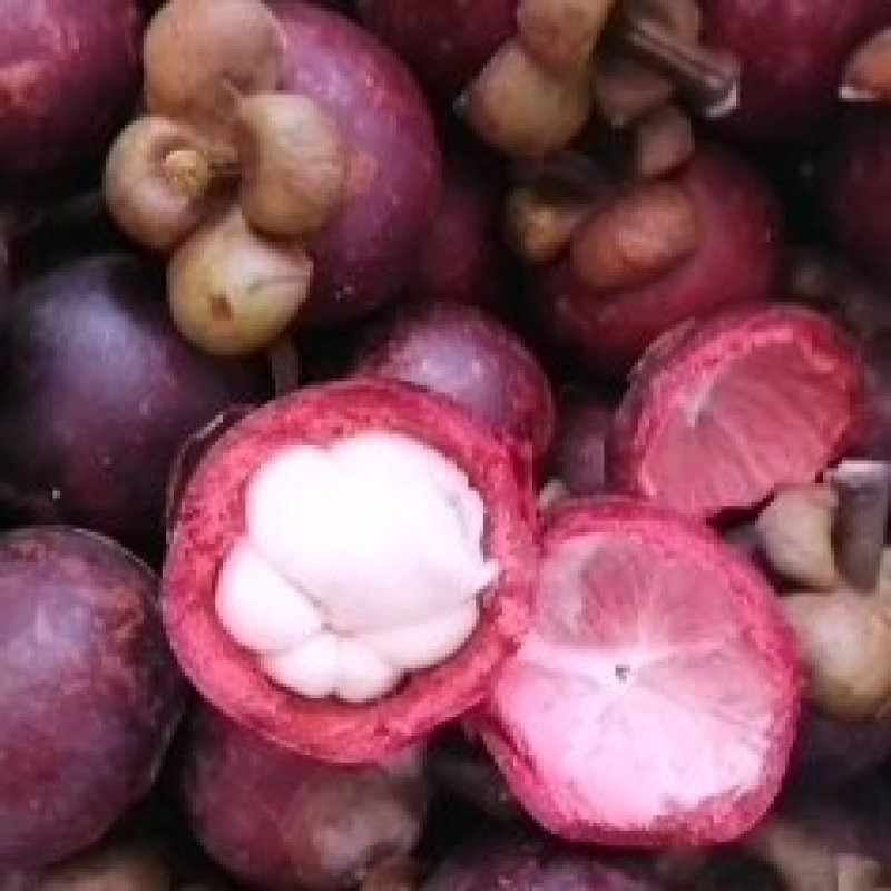 特价山竹