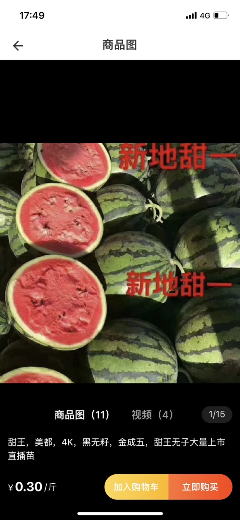 陕西甜王，大红嚷，小薄皮，保质保量，大量现货