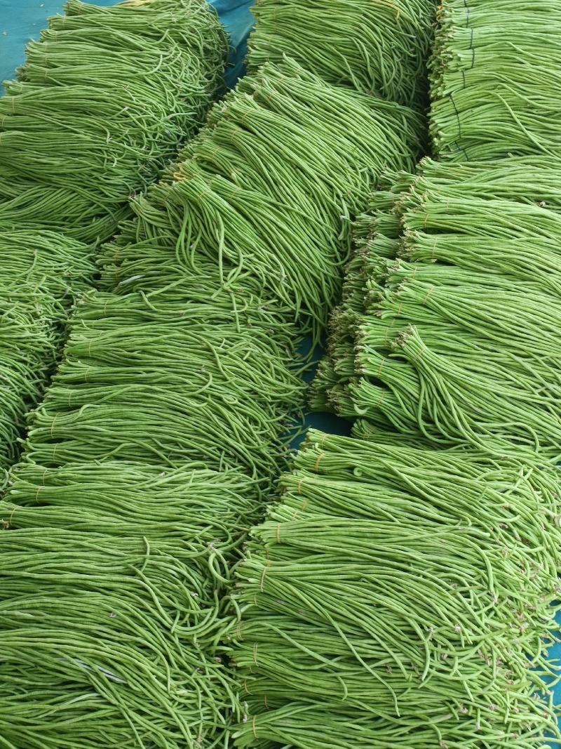中牟豆角