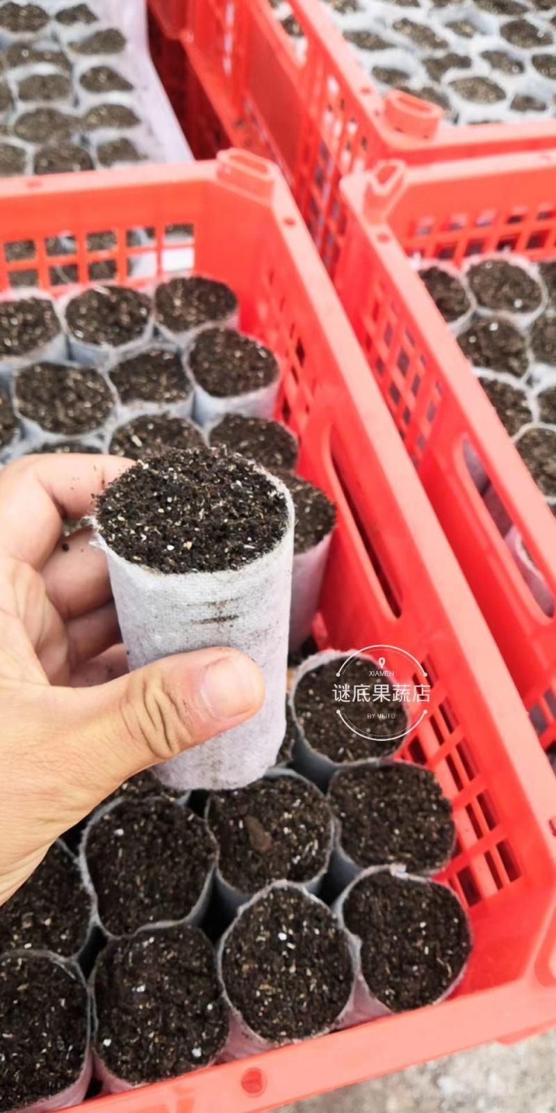 二手水果蔬菜包装塑料胶框果筐进口周转筐缕空带盖塑料篮