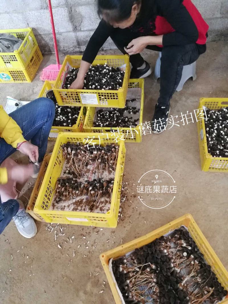 二手水果蔬菜包装塑料胶框果筐进口周转筐缕空带盖塑料篮