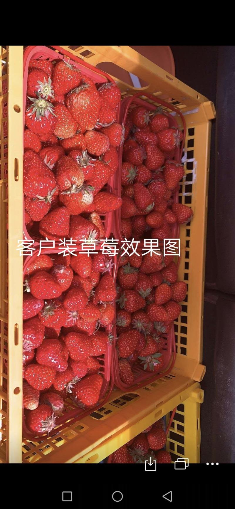二手水果蔬菜包装塑料胶框果筐进口周转筐缕空带盖塑料篮