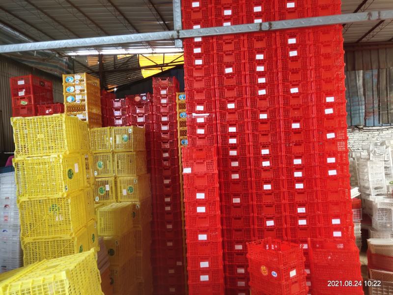 二手水果蔬菜包装塑料胶框果筐进口周转筐缕空带盖塑料篮