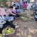 青苹果藤木苹果脆甜多汁产地现摘现发价格优惠支持视频看货