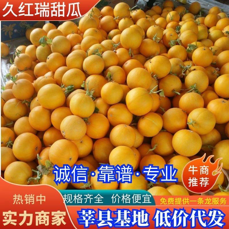 莘县甜瓜精品瑞红甜瓜，大量上市产地直供，货源充足