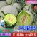 山东甜瓜冰清玉菇甜瓜软糯可口，万亩产地，整车代发商超