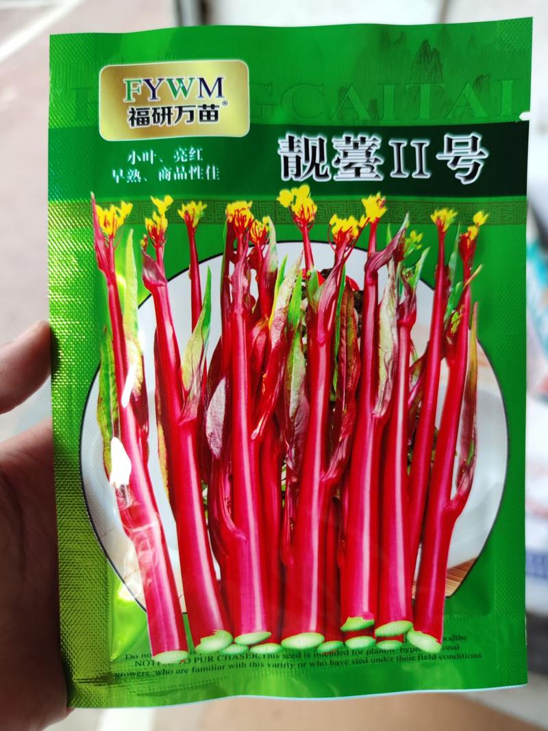 靓苔2号红菜苔种子，小叶亮红