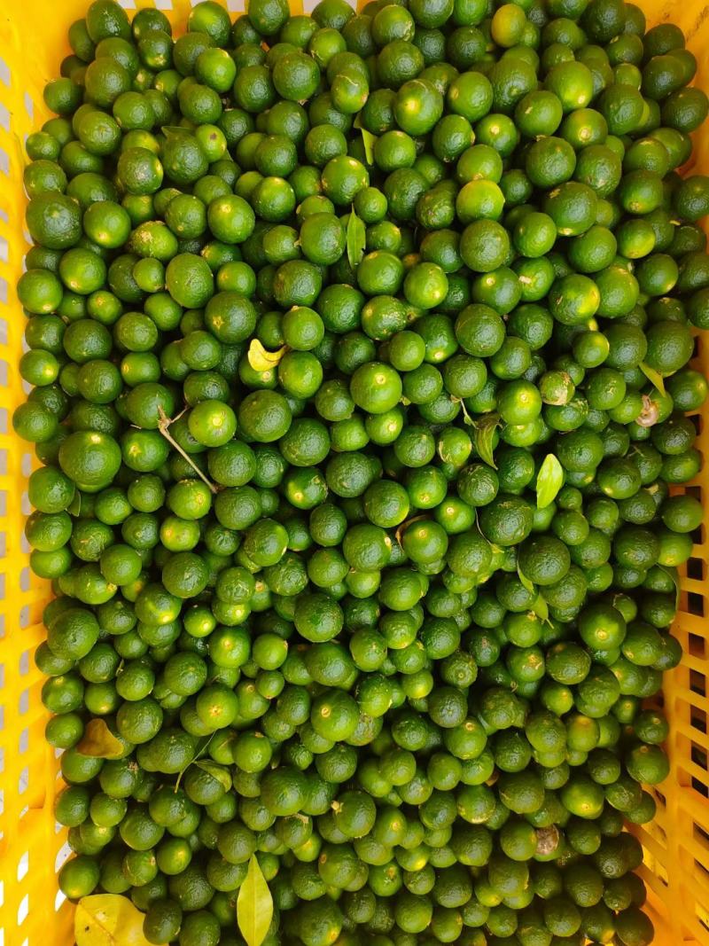 小青柑《沃柑》可以烘干也可深加工有需要的老板本人可以代办