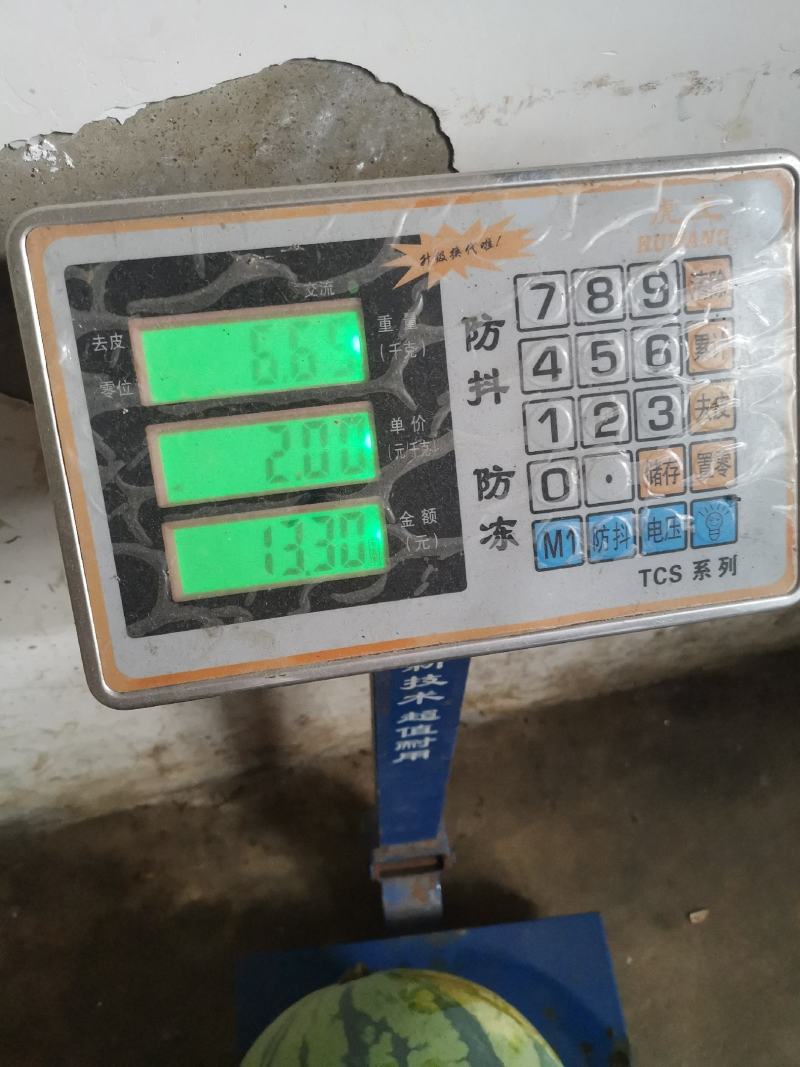 麒麟西瓜种植基地，专业大棚西瓜，8424大棚西瓜