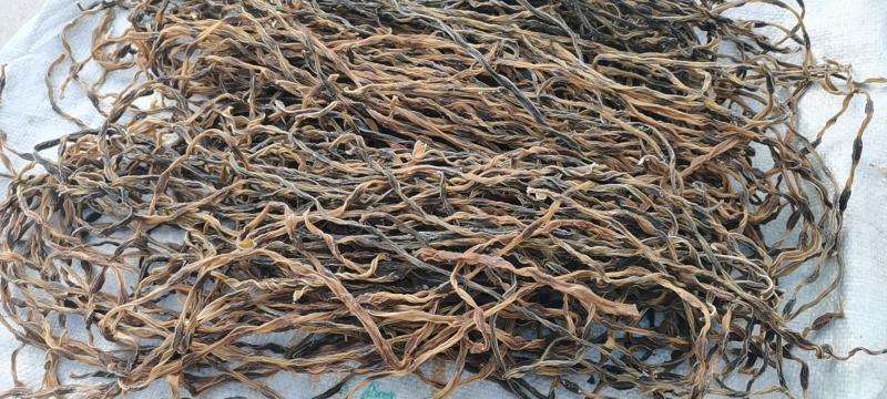 湖北新脱水干豆角自然晾晒无化学添加，豆角干质量优